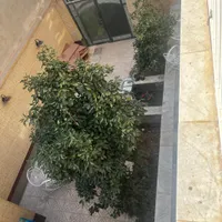 اجاره پانسیون(خوابگاه)دخترانه وپسرانه|اجارهٔ کوتاه‌مدت آپارتمان و سوئیت|یزد, |دیوار
