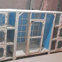 قفس چوبی علی پناه