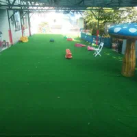 تزئینات باغ چمن مصنوعی فنس چمنی|خدمات باغبانی و درختکاری|بهبهان, |دیوار