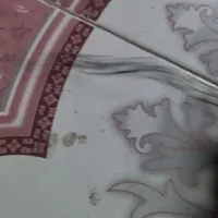 در باک ماشین پیدا شده
