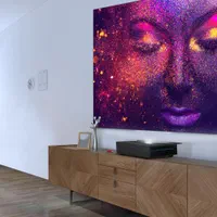 ویدیو پروژکتور مشکی  اتاق room