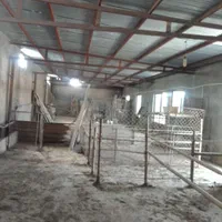 دامداری پروار گوسفند 100راسی در لجران