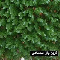 گرین وال گرینوال مصنوعی ۵۰ در ۵۰ دپو|گل مصنوعی|شیراز, اصلاح‌نژاد|دیوار