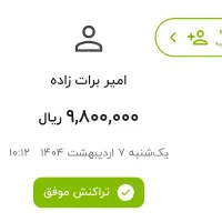 امیر برات زاده|فعالیت داوطلبانه|بم, |دیوار