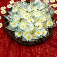 شَمع|صنایع دستی و سایر لوازم تزئینی|اصفهان, پارک مشتاق|دیوار