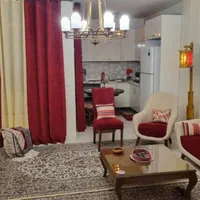 اجاره ی سویت و آپارتمان در همه ی مناطق طهران|اجارهٔ کوتاه‌مدت آپارتمان و سوئیت|تهران, دکتر هوشیار|دیوار