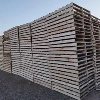 پالت چوبی و پلاستیکی عمده و تک|عمده‌فروشی|تهران, شهید رجایی|دیوار