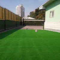 تزئینات باغ چمن مصنوعی فنس چمنی|خدمات باغبانی و درختکاری|بهبهان, |دیوار