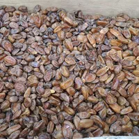 خرمای بی هسته درجه یک|خوردنی و آشامیدنی|قم, وادی السلام|دیوار