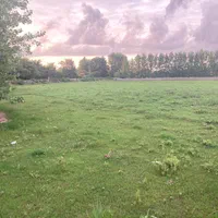 ۹۰۰۰متر زمین باغی/بر آسفالت/ملک ۳ بر/داخل طرح هادی|فروش زمین و ملک کلنگی|رشت, کاکتوس|دیوار