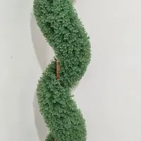 درختچه سالم و نو