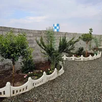 باغ وباغچه180متر (برق)آب/دو نبش/چهاردیواربلند|فروش زمین و ملک کلنگی|تهران, امیریه|دیوار