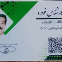 کارشناسی فنی وبدنه وتشخیص رنگ سیار (نورا)|خدمات موتور و ماشین|بندرعباس, |دیوار