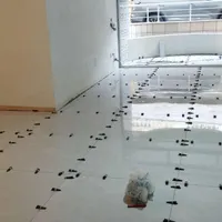 گچکاری کاشی تخریب کاری کاشیکار گچکار بنایی