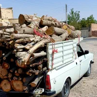 خرید چوب درخت صنوبر کاج توت تیر هیزم