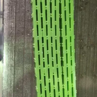 چوبگیر نبات  نی گیر  نبات تفلون  نبات