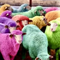 گوسفند قربانی طهران