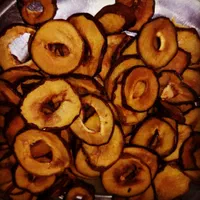 دستگاه میوه خشک کن کارگاهی،30 کیلو صنعتی|ماشینآلات صنعتی|تهران, آرژانتین|دیوار