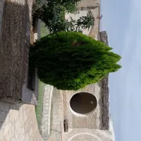 ویلا استخر دار باغ بهادران نزدیک رودخانه|اجارهٔ کوتاه‌مدت ویلا و باغ|اصفهان, باغ دریاچه|دیوار