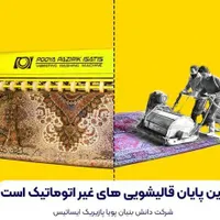 قالیشویی پازیریک