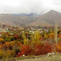 تور / تفریح / بازی گروهی/ موزه گردی|تور و چارتر|تهران, کامرانیه|دیوار
