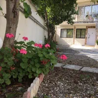 اجاره ویلا نوساز ۲ خوابه رامسر حیاط دار|اجارهٔ کوتاهمدت ویلا و باغ|رامسر, |دیوار