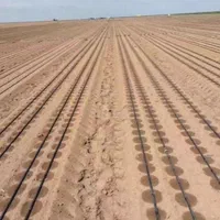 تولید نوار تیپ|عمده‌فروشی|اصفهان, ارداجی|دیوار