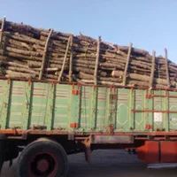 خریدچوب‌سقفی/قعط‌درخت|عمده‌فروشی|مشهد, بهمن|دیوار