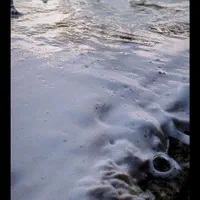 قالیشویی ومبل شویی زاگرس|خدمات نظافت|اهواز, کمپلو جنوبی|دیوار