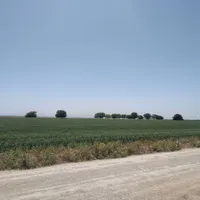 فروش زمین ۱۰۰۰ متری در روستای هلالی برزش آباد|فروش زمین و ملک کلنگی|مشهد, پنجتن|دیوار