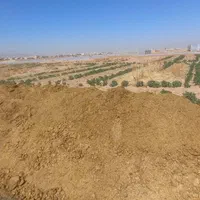 کود اسب خالص و بدون ضایعات