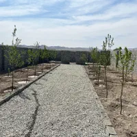 زمین ۳۸۰ متری سند دار