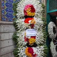 تاج گل ختمی جشنی فانتزی سلطنتی نمایشگاهی|گل و گیاه طبیعی|تهران, بازار|دیوار