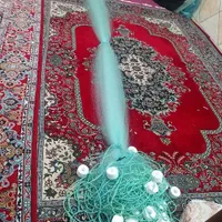 ماهیگیری تور سدی و سالیک|ماهیگیری|اصفهان, ابر|دیوار