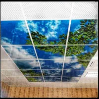 اجرای انواع سقف کاذب|خدمات پیشه و مهارت|چابهار, |دیوار