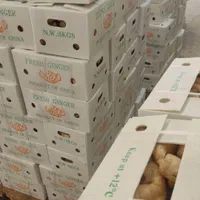 زنجبیل تازه و باکیفیت برای آبگیری|خوردنی و آشامیدنی|اصفهان, میرعماد|دیوار