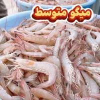 میگو سرنیز کیلو380تازه دریایی