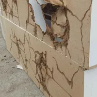 شرکت موریانه زدایی و سم پاشی با ضمانت نامه کتبی