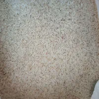 برنج دم سیاه اصل کلات نادر|خوردنی و آشامیدنی|مشهد, حسابی جنوبی (شهرک غرب)|دیوار