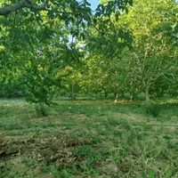 فروش زمین ۵۱۰ متری محدود پل زمانخان|فروش زمین و ملک کلنگی|خمینیشهر, |دیوار