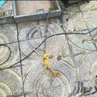 لوله‌بازکنی‌آزادگان‌‌امیر‌آبادچاه‌کن‌چاه‌کنی