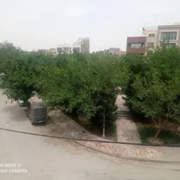 پیش فروش آپارتمان جی شیر|فروش آپارتمان|اصفهان, جی شیر|دیوار