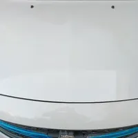 شاهین