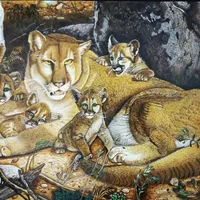 دیپلم کاردانش،دیپلم نقاشی،گرافیک رایانه،عکاسی|خدمات آموزشی|شیراز, پانصد دستگاه ارتش|دیوار
