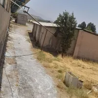 کارگر مرغداری
