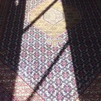 فرش ۶ متری دست بافت ریز ماهی