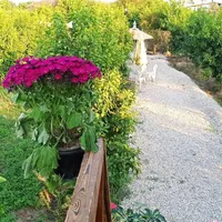 اجاره باغ ویلاو کلبه .روزانه.هفتگی .ماهانه