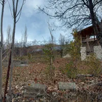 جواز ساخت/سند/باغ مثمر نام آور|فروش دفتر صنعتی، کشاورزی، تجاری|فیروزکوه, |دیوار