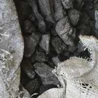 طوطی