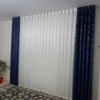 شاین اسکاجی